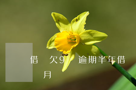 借唄欠9萬逾期半年(借唄欠900多逾期6個月)