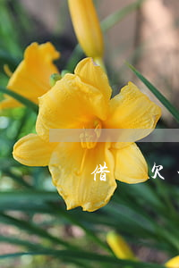 借唄欠一千五的圖片(借唄欠款5000圖片)