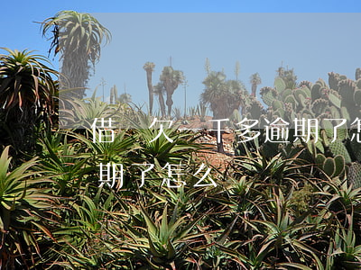 借唄欠一千多逾期了怎么辦(借唄欠一千多逾期了怎么辦)