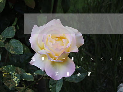 借唄欠一萬(wàn)不還后果(借唄欠1000不還后果)