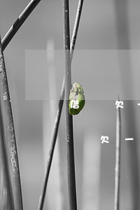 借唄欠一萬(wàn)五五千塊錢能還嗎(借唄欠一萬(wàn)五五千塊錢能還嗎)