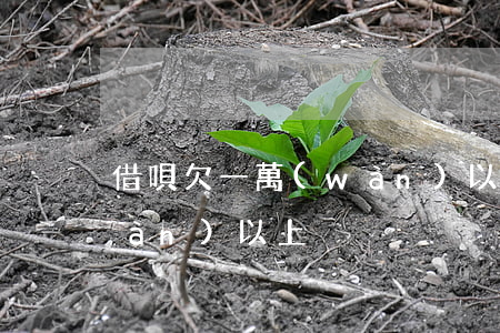 借唄欠一萬(wàn)以上(借唄欠一萬(wàn)以上)