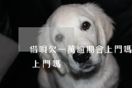借唄欠一萬逾期會上門嗎(借唄欠一萬逾期會上門嗎?)