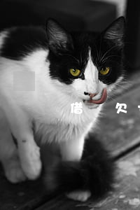 借唄欠七萬還不起(欠借唄6萬還不起)