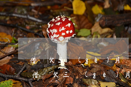 借唄欠三個(gè)月會(huì)怎么樣(借唄欠三個(gè)月有影響嗎)