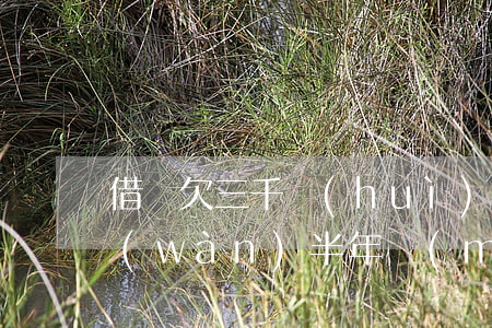借唄欠三千會(huì)起訴嗎(借唄欠3萬(wàn)半年沒(méi)還了會(huì)被起訴坐牢嗎?)