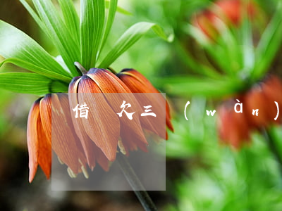 借唄欠三萬(wàn)截圖