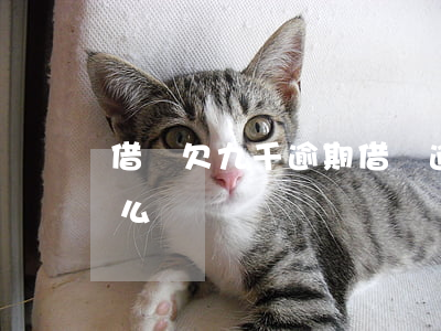 借唄欠九千逾期(借唄逾期9萬(wàn)怎么辦)