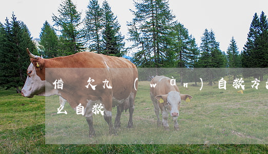 借唄欠九萬(wàn)自救方法(借唄欠款怎么自救)