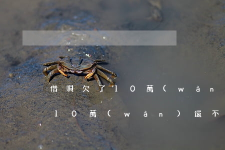 借唄欠了10萬(wàn)還不上了(欠借唄10萬(wàn)還不上怎么辦)