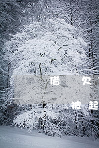 借唄欠了2700會被起訴嗎(借唄欠款多少會被起訴)