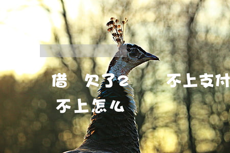 借唄欠了2萬還不上(支付寶借唄借了兩萬還不上怎么辦)