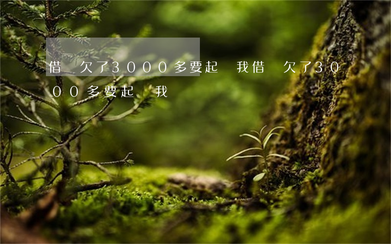 借唄欠了3000多要起訴我(借唄欠了3000多要起訴我)