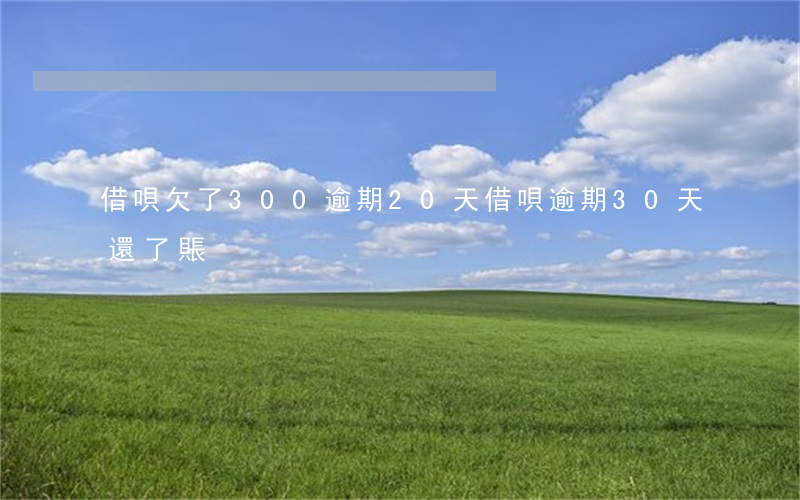 借唄欠了300逾期20天(借唄逾期30天還了賬)
