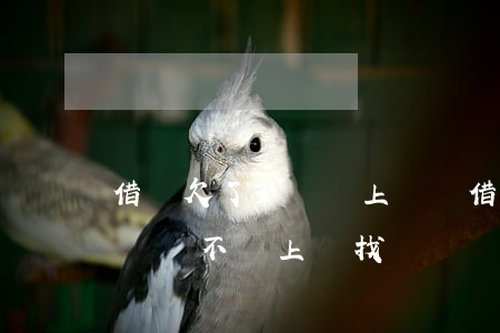 借唄欠了3萬會上門嗎(借唄欠三千一年多沒還會不會上門找)