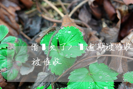 借唄欠了7萬逾期被催收(借唄欠了7萬逾期被催收)