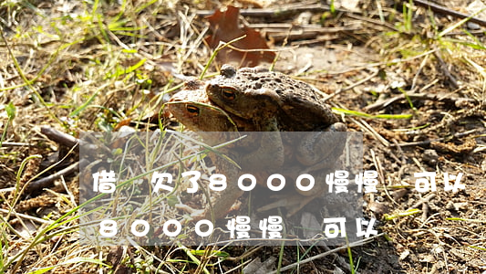 借唄欠了8000慢慢還可以嗎-借唄欠了8000慢慢還可以嗎