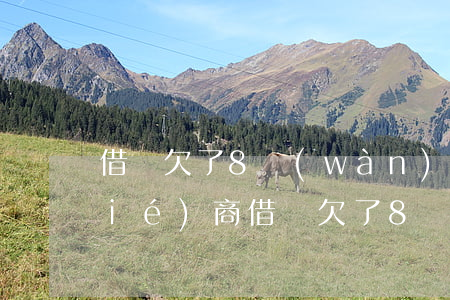 借唄欠了8萬(wàn)還不上怎么協(xié)商(借唄欠了8萬(wàn)還不上怎么協(xié)商)