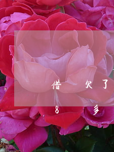 借唄欠了8萬多沒錢還了怎么辦-借唄欠了8萬多沒錢還了怎么辦呢