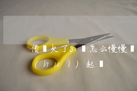 借唄欠了8萬怎么慢慢還(借唄欠8萬多久會(huì)起訴)