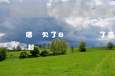 借唄欠了8萬沒錢還了(支付寶借唄8萬還不起)