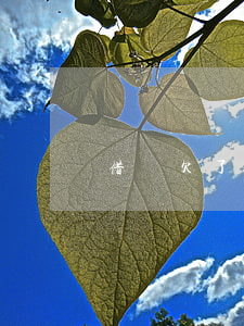 借唄欠了8萬逾期4年了