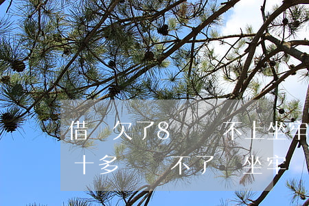 借唄欠了8萬還不上坐牢嗎(借唄欠的太多了,十多萬,還不了,會坐牢嗎)