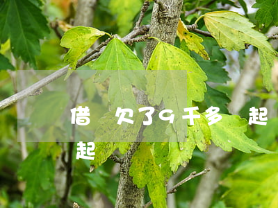 借唄欠了9千多會起訴嗎(借唄欠8萬多久會起訴)