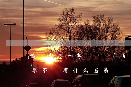 借唄欠了一年沒還會(huì)怎樣(借唄一年不還有什么后果)