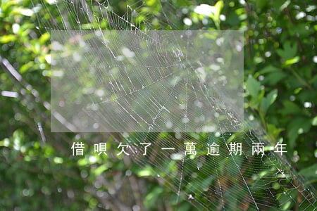 借唄欠了一萬逾期兩年