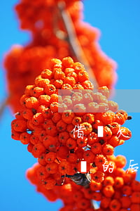 借唄欠了三千回起訴嗎(借唄欠三千不還被起訴的后果)