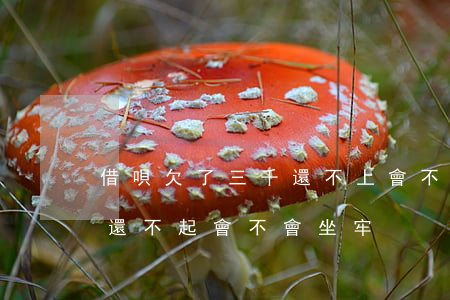 借唄欠了三千還不上會不會坐牢(借唄十多萬還不起會不會坐牢)