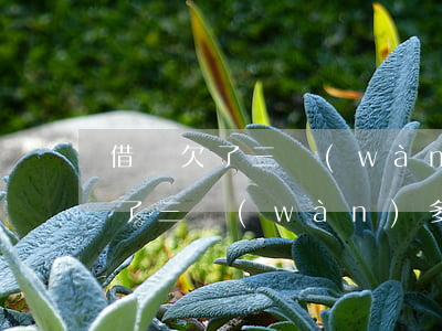 借唄欠了三萬(wàn)多還不上了(借唄欠了三萬(wàn)多還不上了)