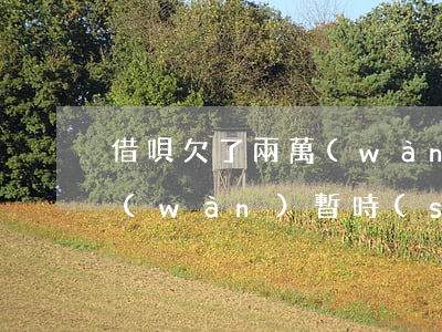 借唄欠了兩萬(wàn)還不上(欠借唄2萬(wàn)暫時(shí)實(shí)在是還不起了怎么辦)