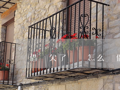 借唄欠了兩萬怎么辦(借唄欠一萬多該怎么辦)