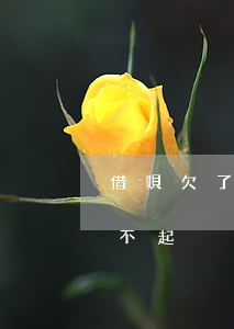借唄欠了八千還不上怎么辦(借唄借了8萬還不起)