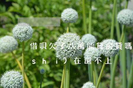 借唄欠了八萬 能貸房貸嗎(借唄欠了8萬實(shí)在還不上)