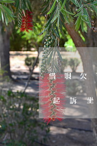 借唄欠了十幾萬逾期被起訴(借唄逾期12萬起訴坐牢)
