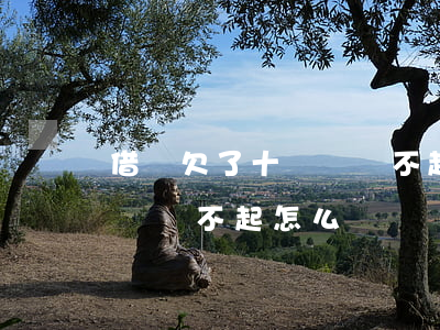 借唄欠了十幾萬還不起怎么辦(借唄欠了十幾萬還不起怎么辦)