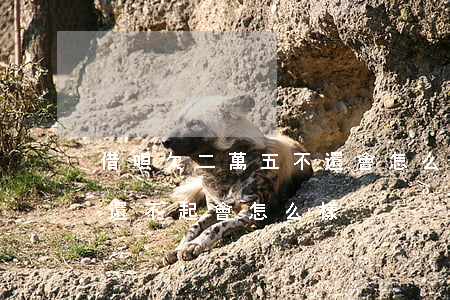 借唄欠二萬五不還會怎么樣(借唄花唄欠2萬還不起會怎么樣)