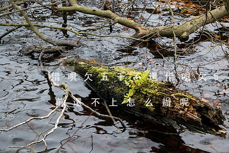 借唄欠五千不還(借唄欠5萬(wàn)多目前還不上怎么辦呢)