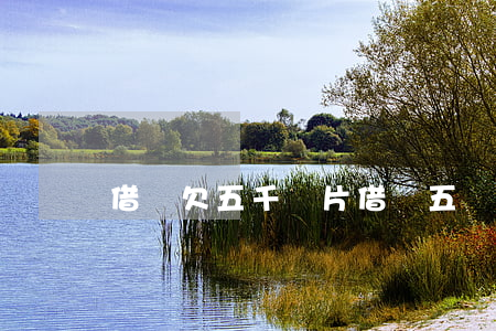 借唄欠五千圖片(借唄五萬圖片)