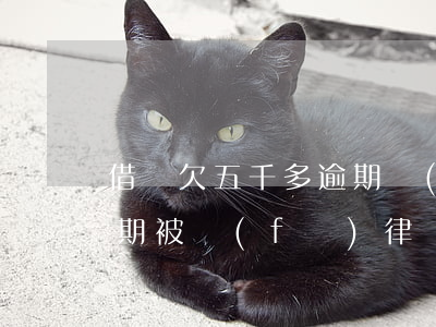借唄欠五千多逾期發(fā)律師函(借唄逾期被發(fā)律師函怎么辦)