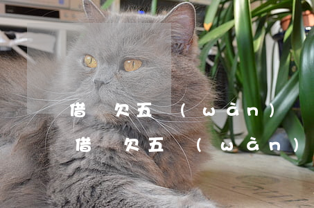 借唄欠五萬(wàn)會(huì)怎么樣(借唄欠五萬(wàn)不還怎么樣)