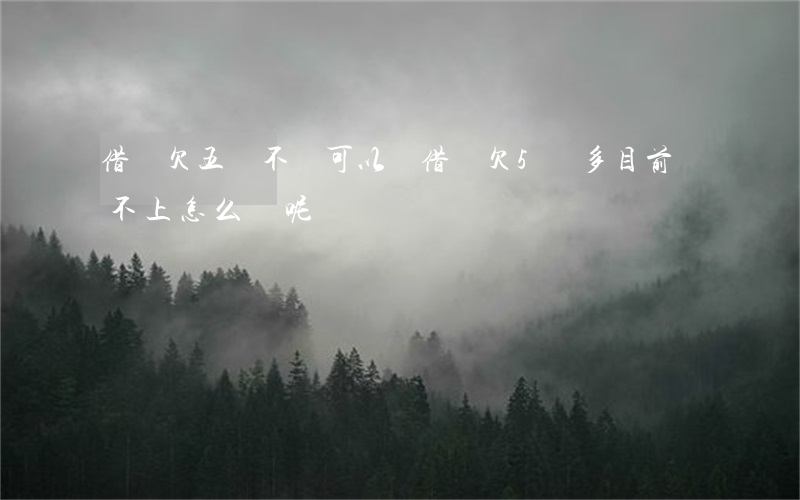 借唄欠五萬不還可以嗎(借唄欠5萬多目前還不上怎么辦呢)
