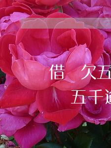借唄欠五萬多現(xiàn)在要逾期了(借唄五千逾期半年)