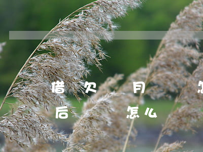 借唄欠兩個月沒還會怎么樣(借唄欠款3個月后沒還會怎么樣)