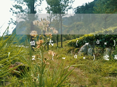 借唄欠兩萬(wàn)逾期兩年(支付寶借唄2萬(wàn)逾期一年了)