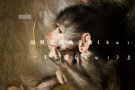 借唄欠兩萬多會(huì)被上門么(欠借唄一千多會(huì)上門嗎)