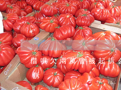 借唄欠兩萬會被起訴么(借唄欠了多少會被起訴)